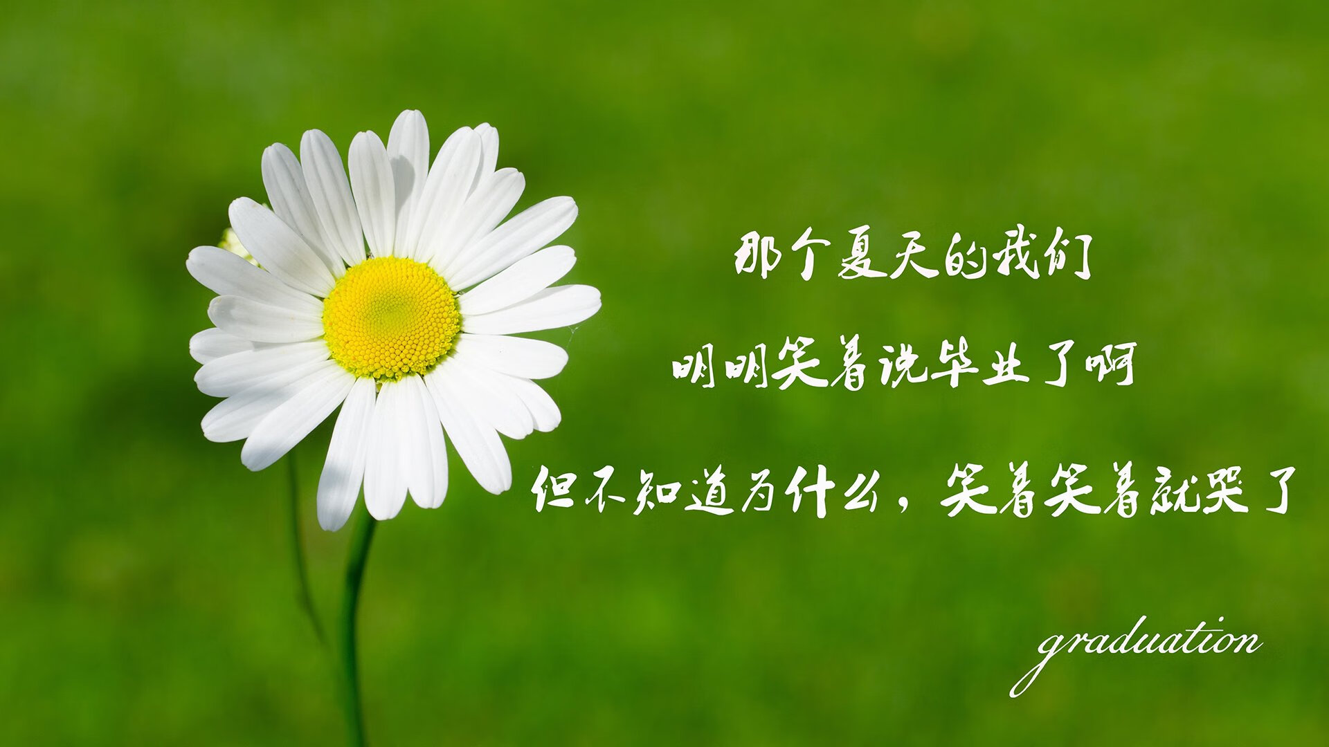 冬季运动项目发展现状与趋势，冬季运动项目发展现状与趋势研究