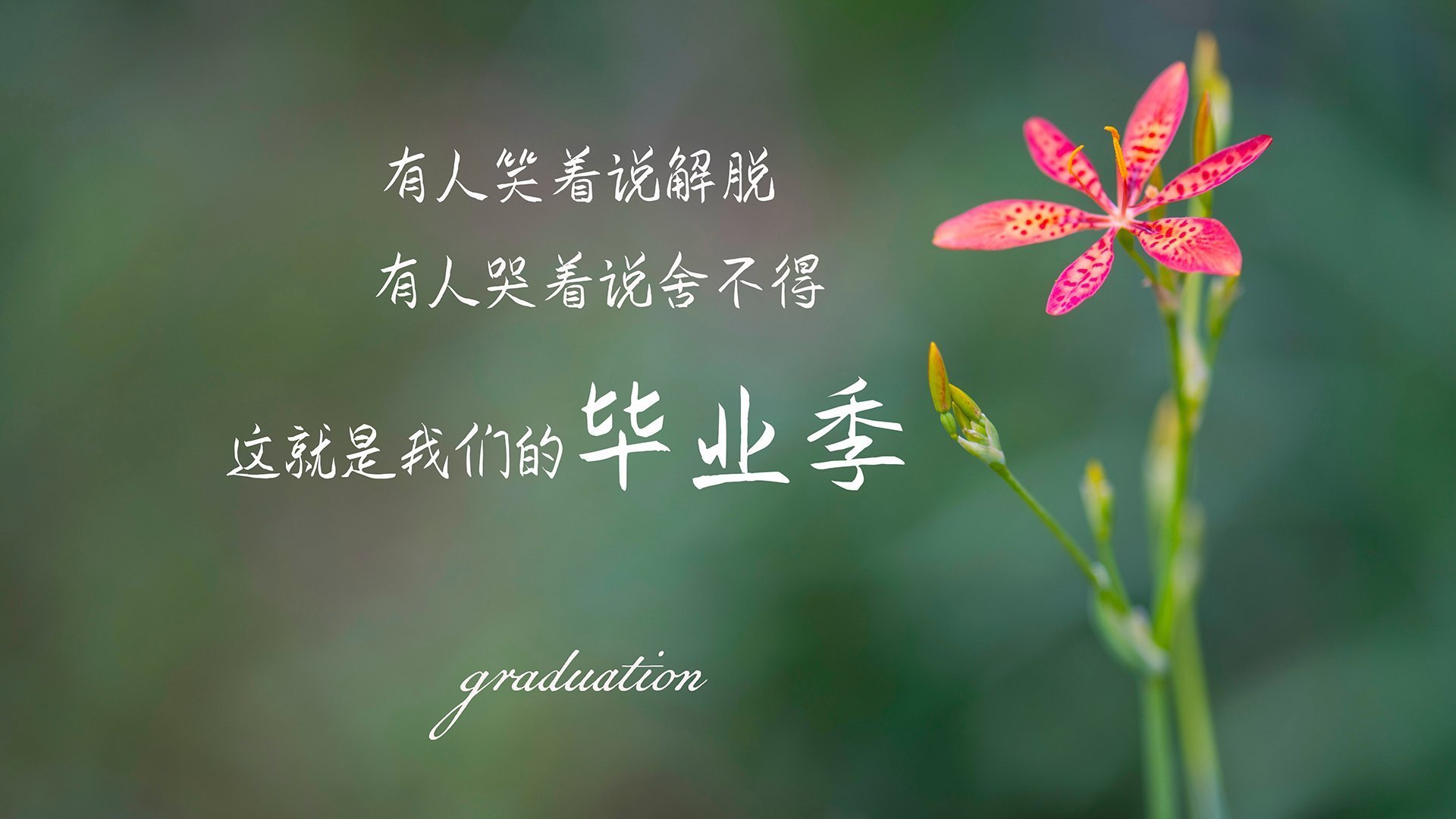 开云体育登录-世界杯逆天逆转：英雄创造奇迹！，嗯世界杯的