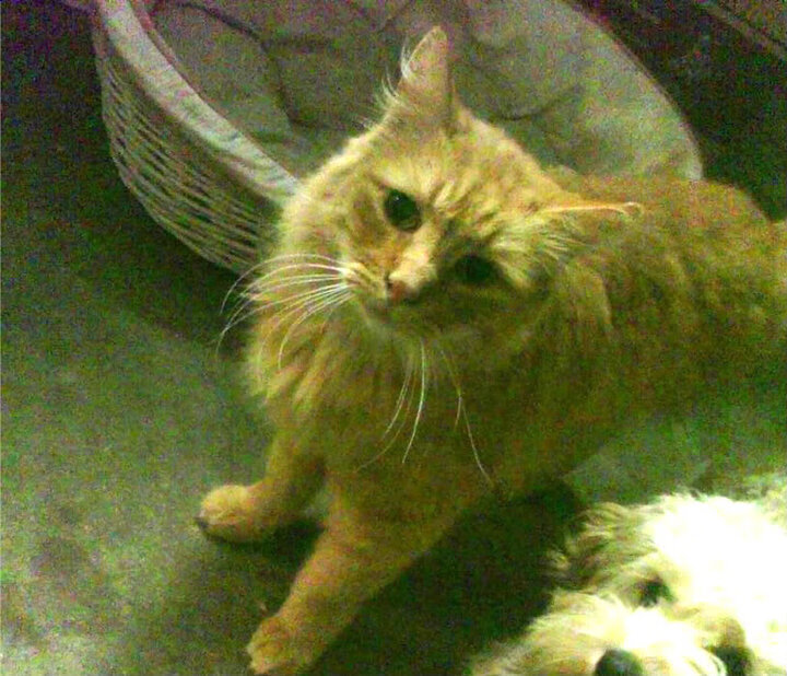 开云体育-中国男篮开展专项训练提升关键技术能力，中国男篮训练强度