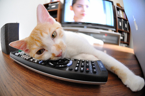 开云在线入口-主力球员红牌停赛次轮排兵布阵成焦点话题，红牌停赛轮空怎么算