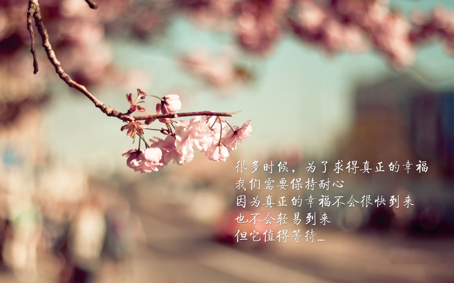 开云体育-场馆升级改造完成新引入灯光与音响系统提升赛事氛围，场馆建设