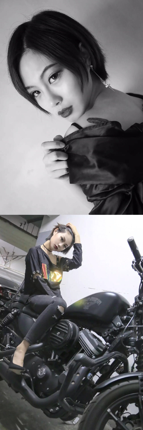 场馆升级改造完成新引入灯光与音响系统提升赛事氛围,场馆建设