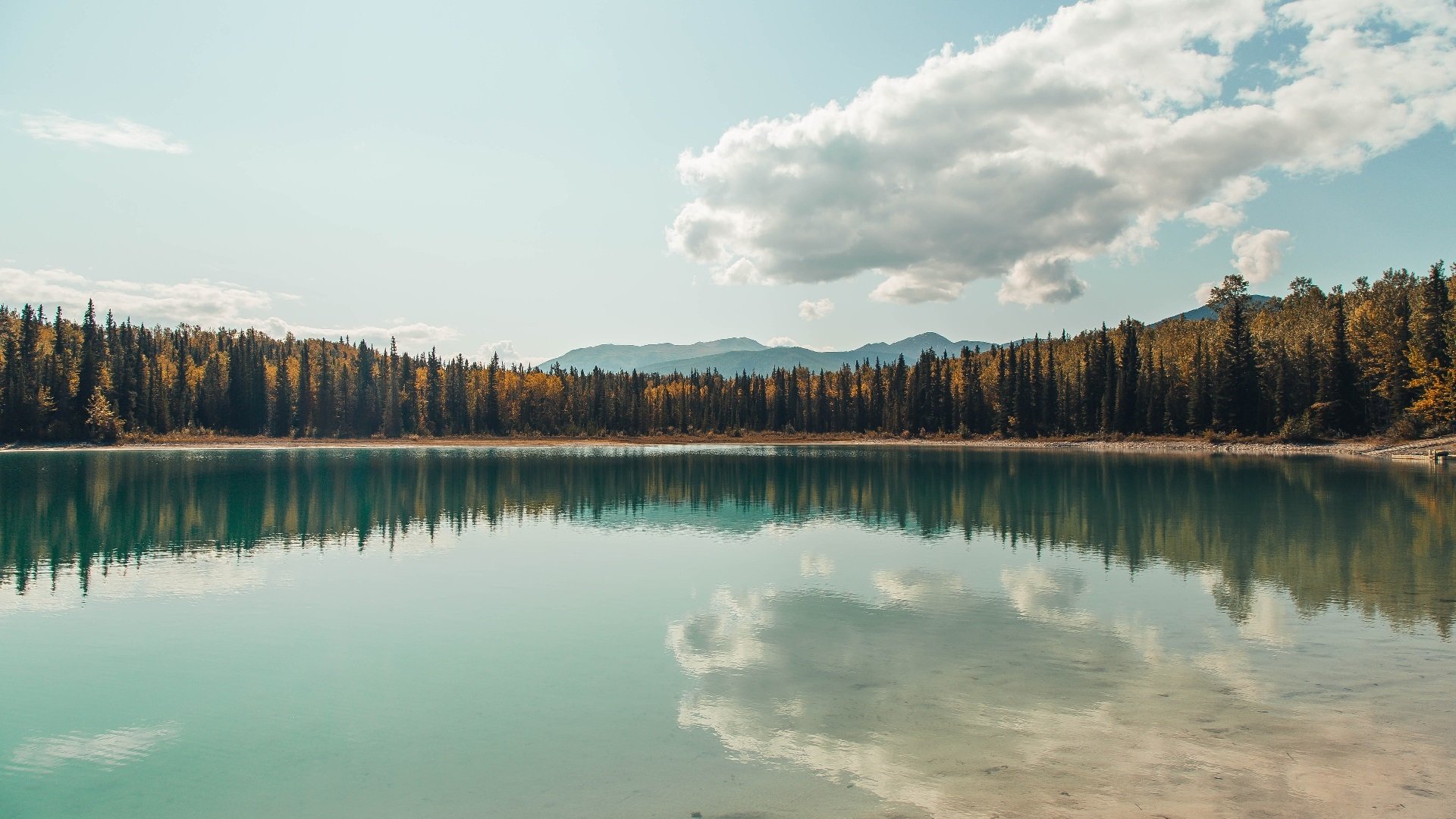 希腊男篮在国际比赛中持续发光,欧洲劲旅再显风采,希腊男篮实力如何