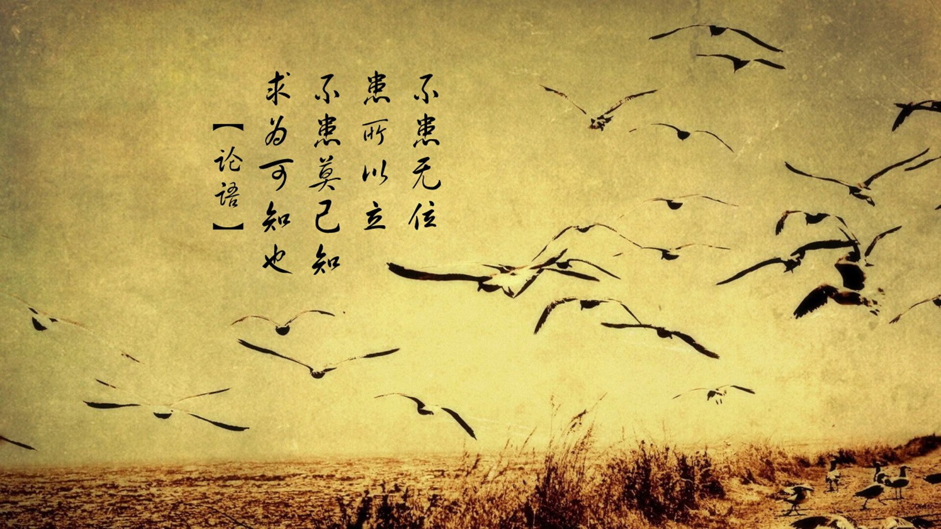 弗朗索瓦·霍尔茨豪伊泽:他的战术视野和执行力让南非队攻防两端稳如磐石