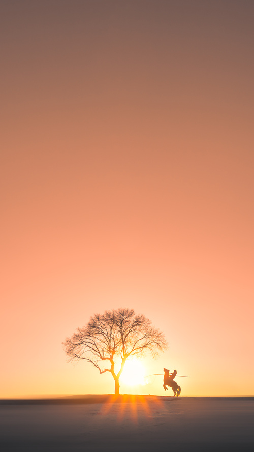 开云官网-意甲震撼对决：技巧、速度、激情的完美结合！，意甲经典比赛如c77 tv