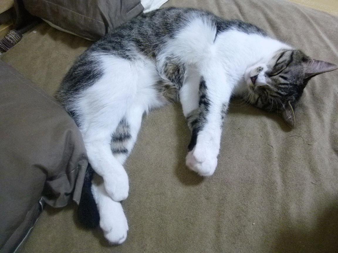 开云体育官网在线-火箭目标打出年轻化速度优势，火箭目的