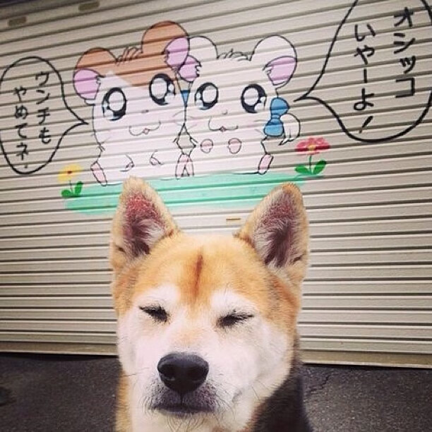 开云体育在线入口-田径裁判规范化培训项目在全国铺开，田径裁判知识