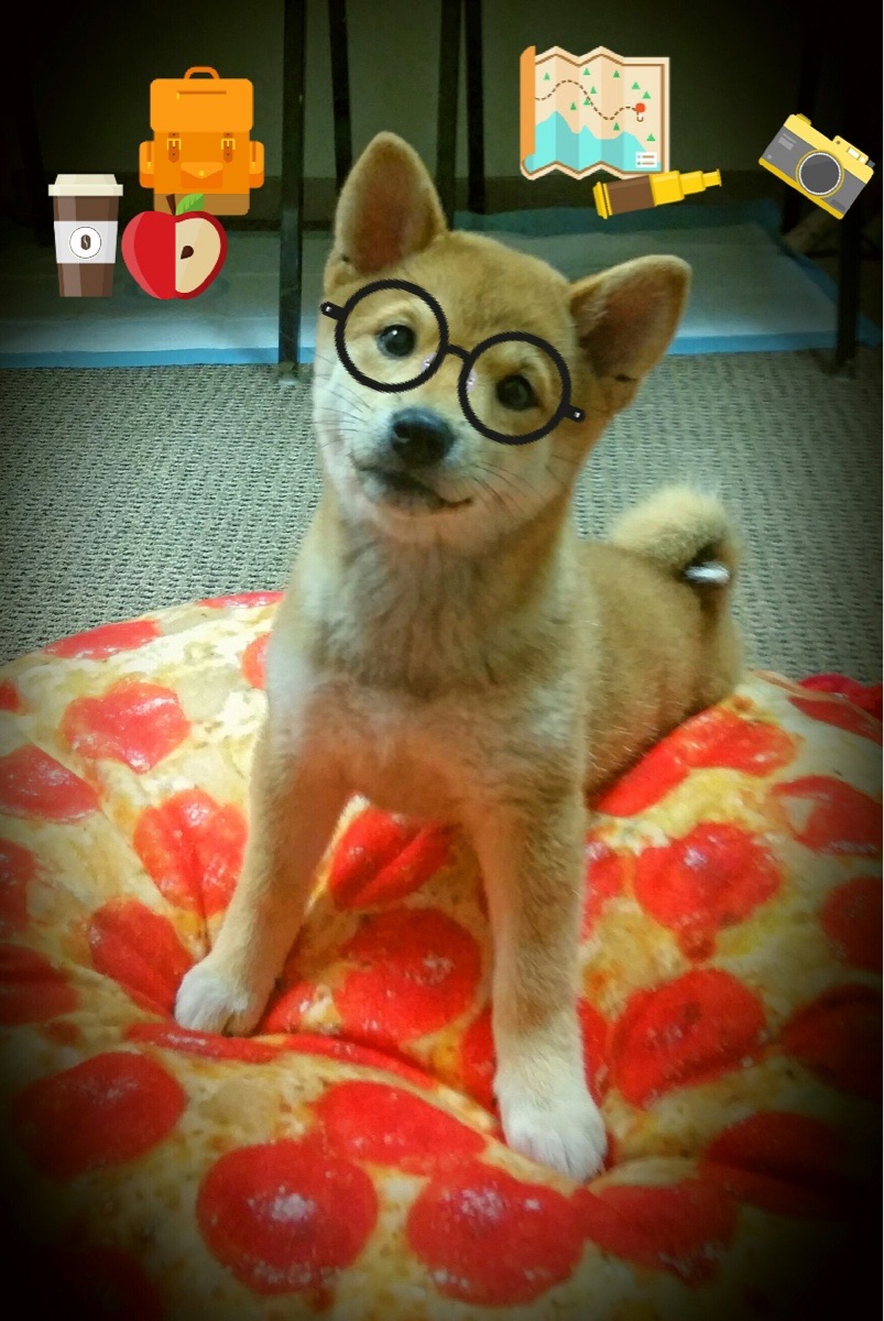 荷兰国家队在国际赛中连续取胜,士气高昂